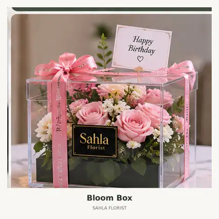 Bloom Box Mesuji